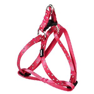 ARNES ANIMAL PRINT T-L FUCSIA